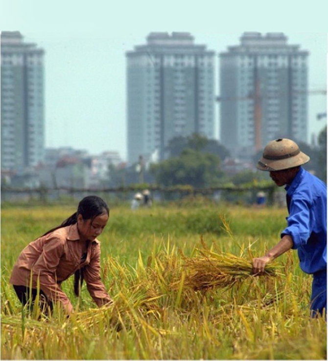  Nhiều diện tích đất nông nghiệp bị thu hẹp, nhường chỗ cho các tòa nhà chung cư, khu công nghiệp, khu chế xuất. 